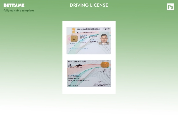 Модерен стил индиската возачка дозвола за нова верзија шаблон